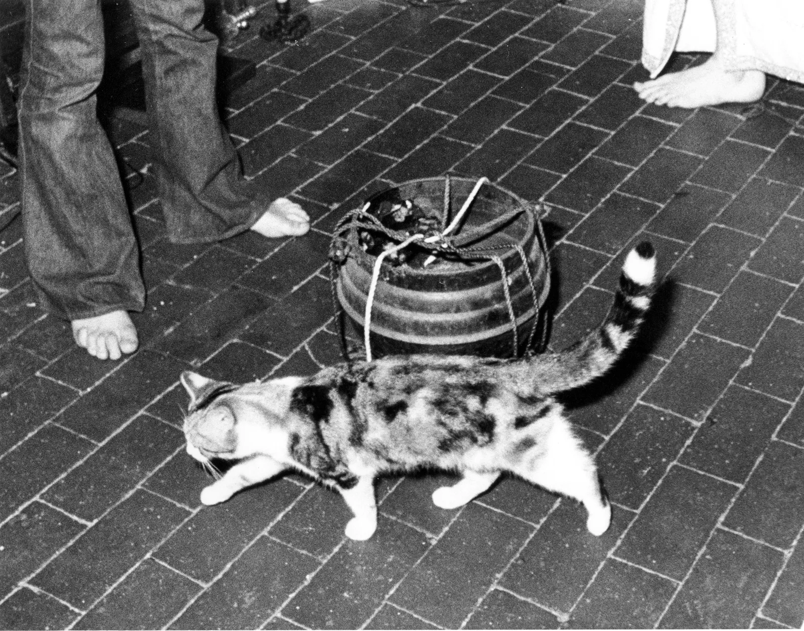 The cat by the cauldron, Chantry Cottage, 2 July 1974