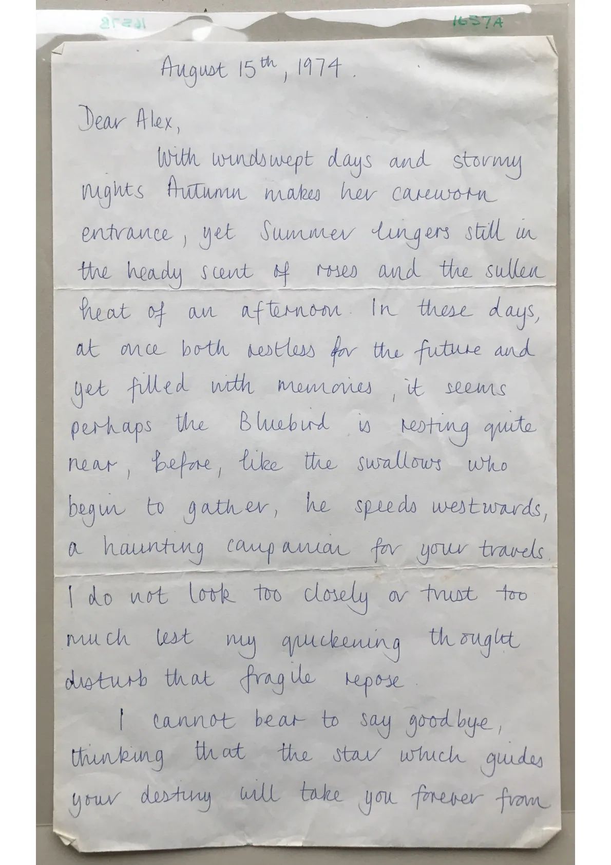 Letter to Alex from "Joy"
